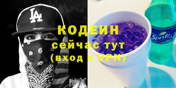 дурь Алексин