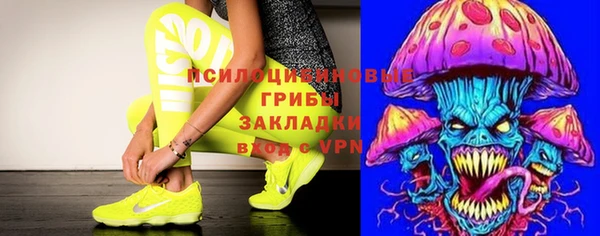 дурь Алексин